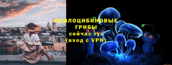 стафф Абаза