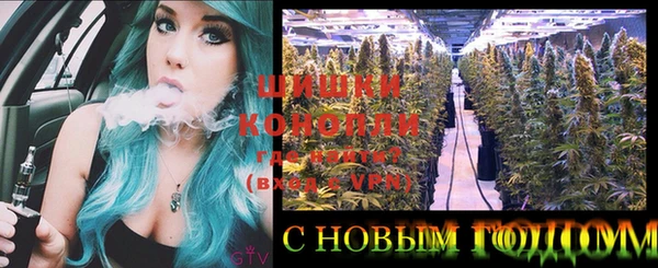 индика Алзамай