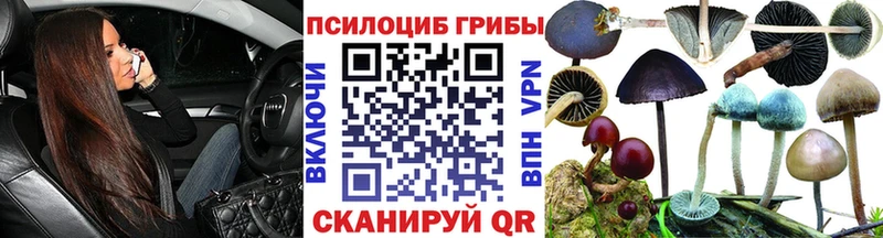 хочу   OMG онион  Псилоцибиновые грибы ЛСД  Одинцово 