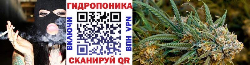 МАРИХУАНА сатива  Одинцово 